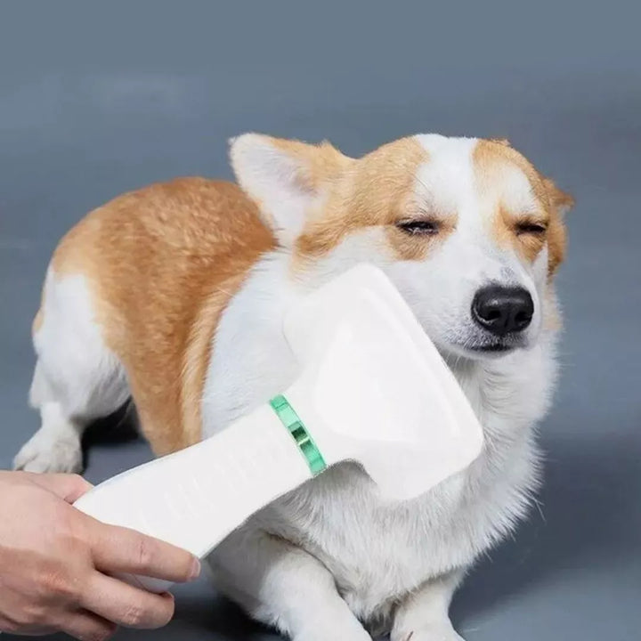 CEPILLO SECADOR PARA MASCOTAS + ENVÍO GRATIS